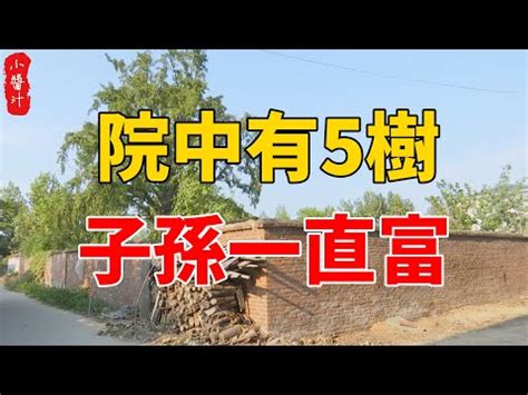 桃樹 風水|桃樹風水效果大解析